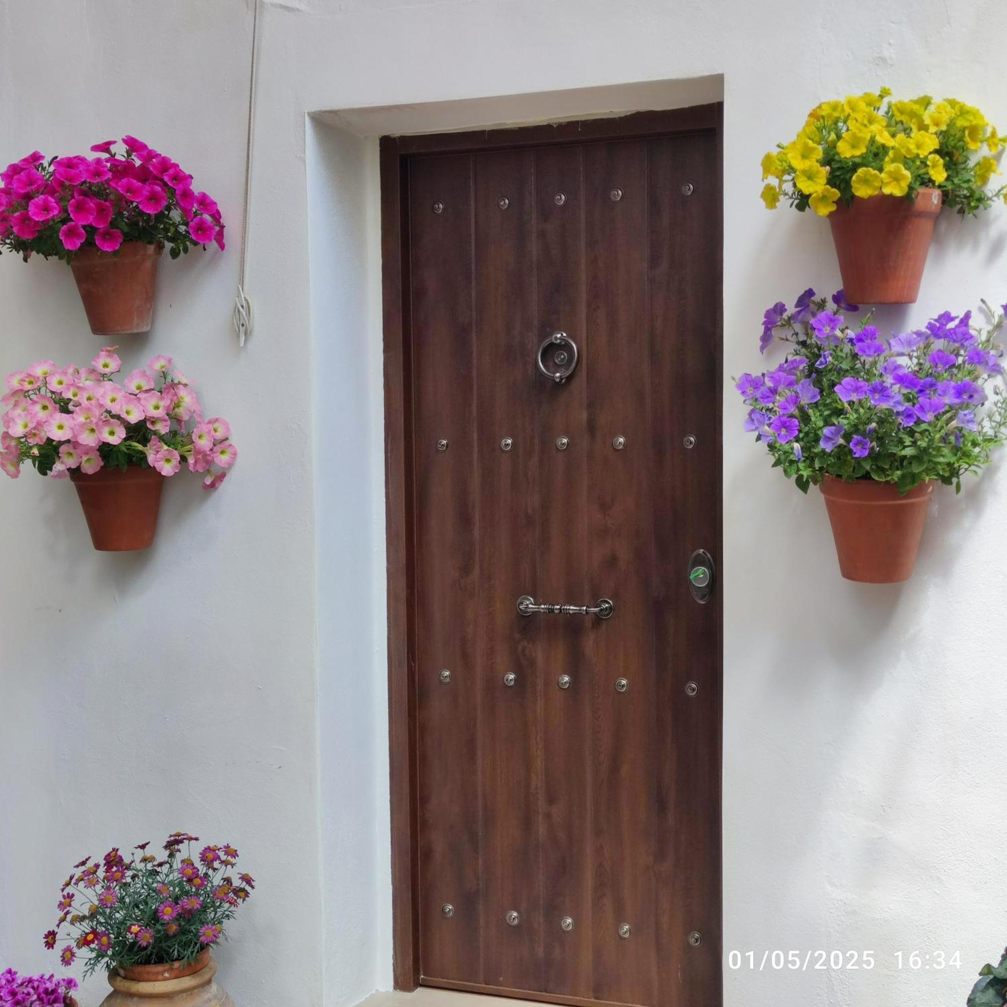 Ferienwohnung El Patio De Regina Córdoba Exterior foto